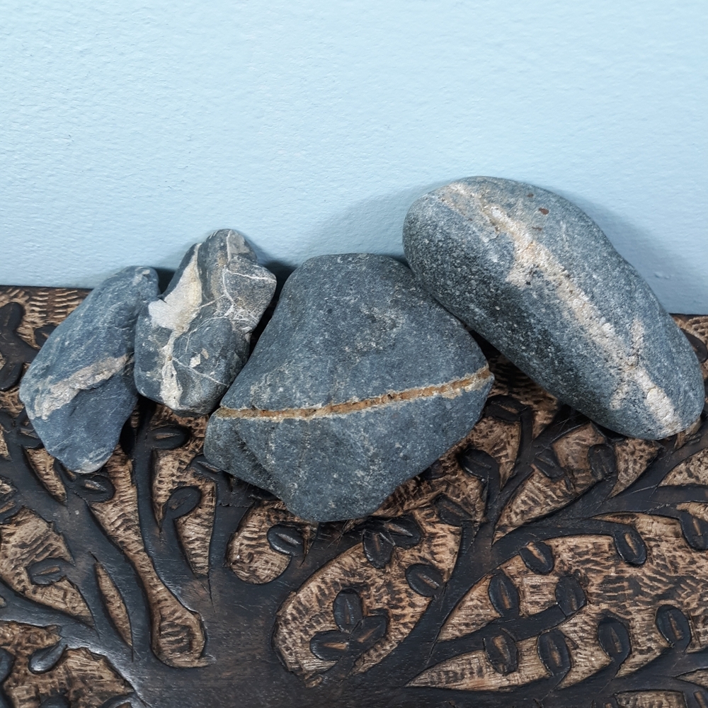 Maine Banded Stones East Coast Beach Rocks Raw Rough Mineral Specimens Dark Gray